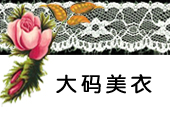 宝贝分类-大码美衣