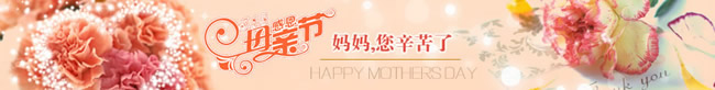 淘宝店铺母亲节店招10：母亲节 妈妈您辛苦了